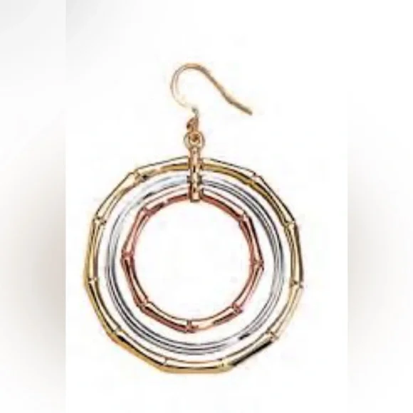 Park Lane Bamboo Trio Earring And Pendant NIB
(No necklace for pendant) - Picture 4 of 6